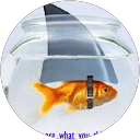 Chris L. profile picture