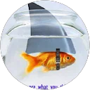 Chris L. profile picture